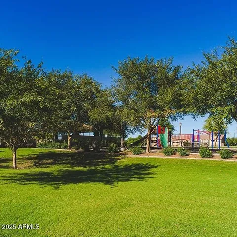 a view of a park with large trees