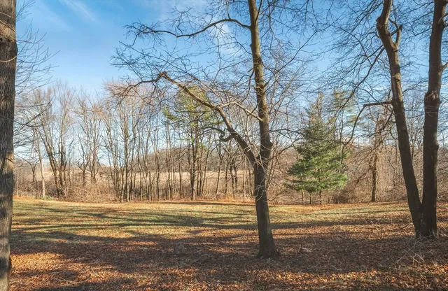 a view of ocean with trees