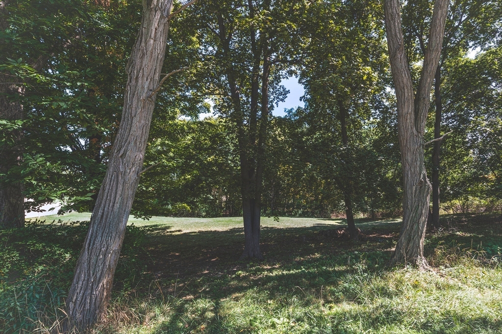 23 Jeffrey's Neck Road Ipswich, MA 01938 - Photo 9 of 12 a view of a tree in a yard