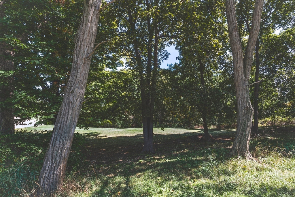 23 Jeffrey's Neck Road Ipswich, MA 01938 - Photo 9 of 10 a view of a tree in a yard