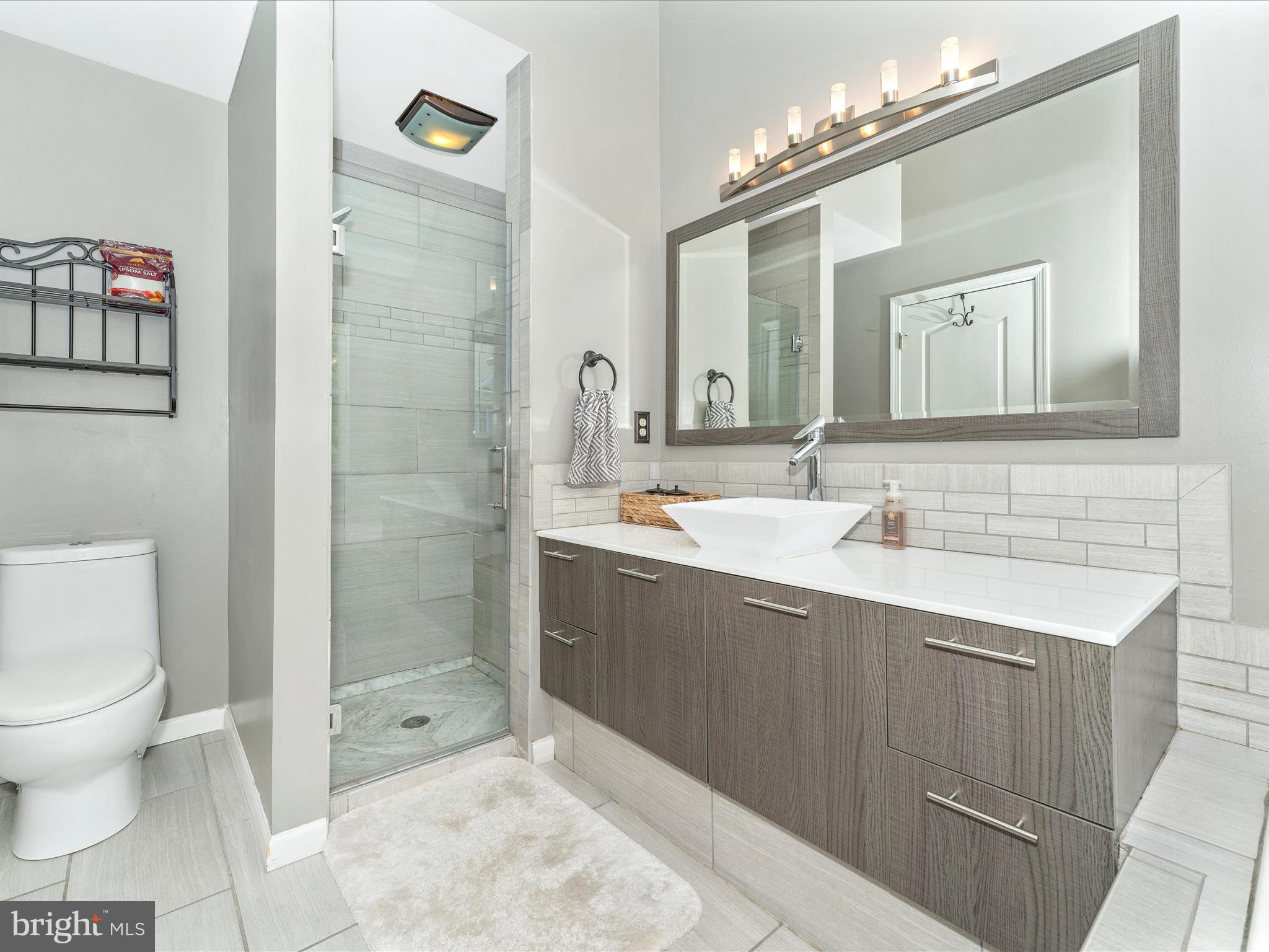 2631 Cameron Way Frederick, MD 21701 - Photo 36 of 73 Primary Bathroom