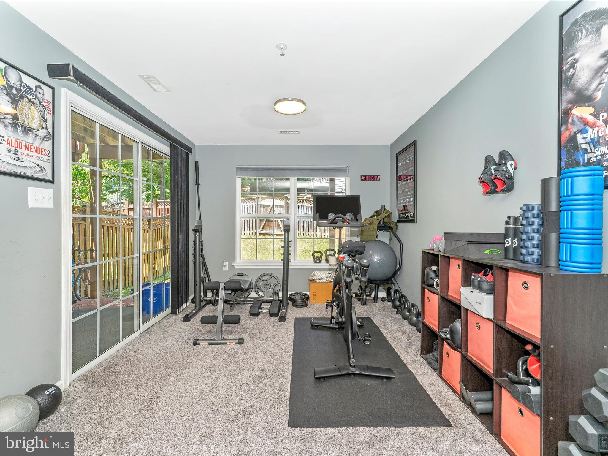 2631 Cameron Way Frederick, MD 21701 - Photo 42 of 73 Lower Level