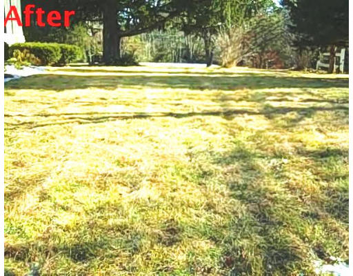 1070 Queen Anne Road Harwich, MA 02645 - Photo 2 of 13 Gallery Image 2