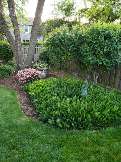 Undisclosed Address Algonquin, IL 60102 - Photo 29 of 40 a garden view with a space