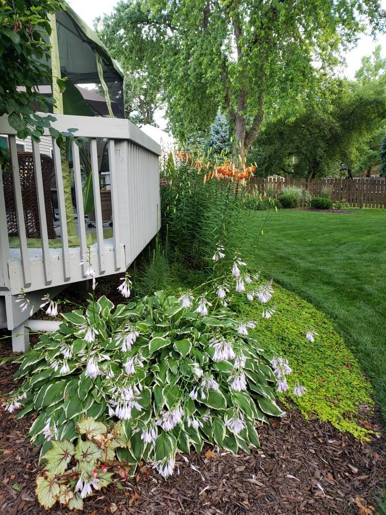 Undisclosed Address Algonquin, IL 60102 - Photo 30 of 40 a view of a small yard with large trees and plants