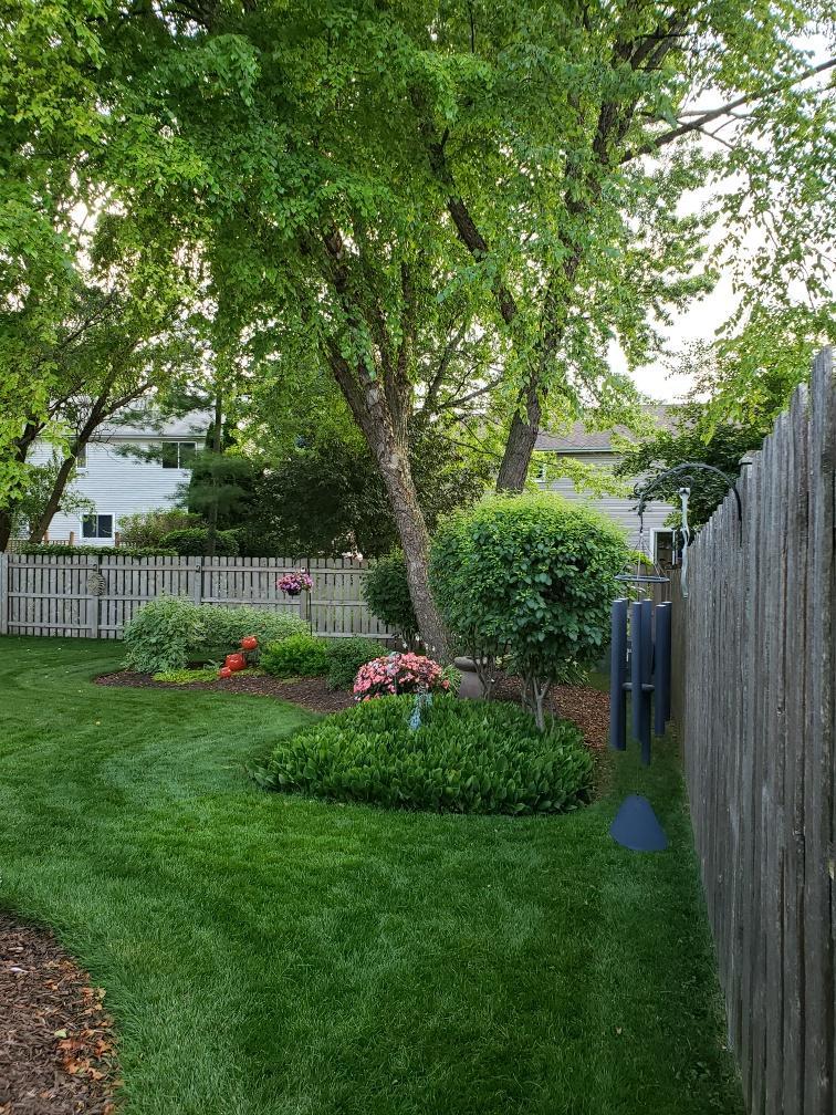 Undisclosed Address Algonquin, IL 60102 - Photo 31 of 40 a view of backyard with wooden fence and a large tree