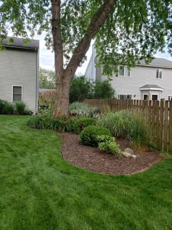 Undisclosed Address Algonquin, IL 60102 - Photo 33 of 40 a view of a backyard with plants and a large tree
