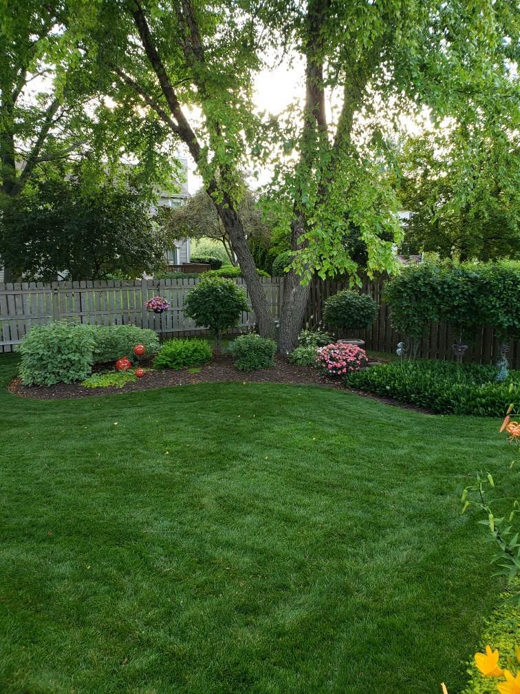 Undisclosed Address Algonquin, IL 60102 - Photo 37 of 40 a garden view