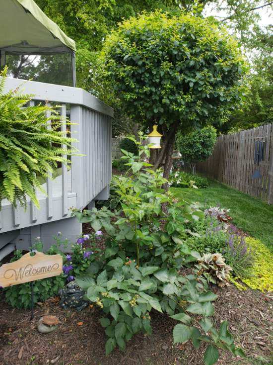 Undisclosed Address Algonquin, IL 60102 - Photo 39 of 40 a backyard of a house with lots of green space