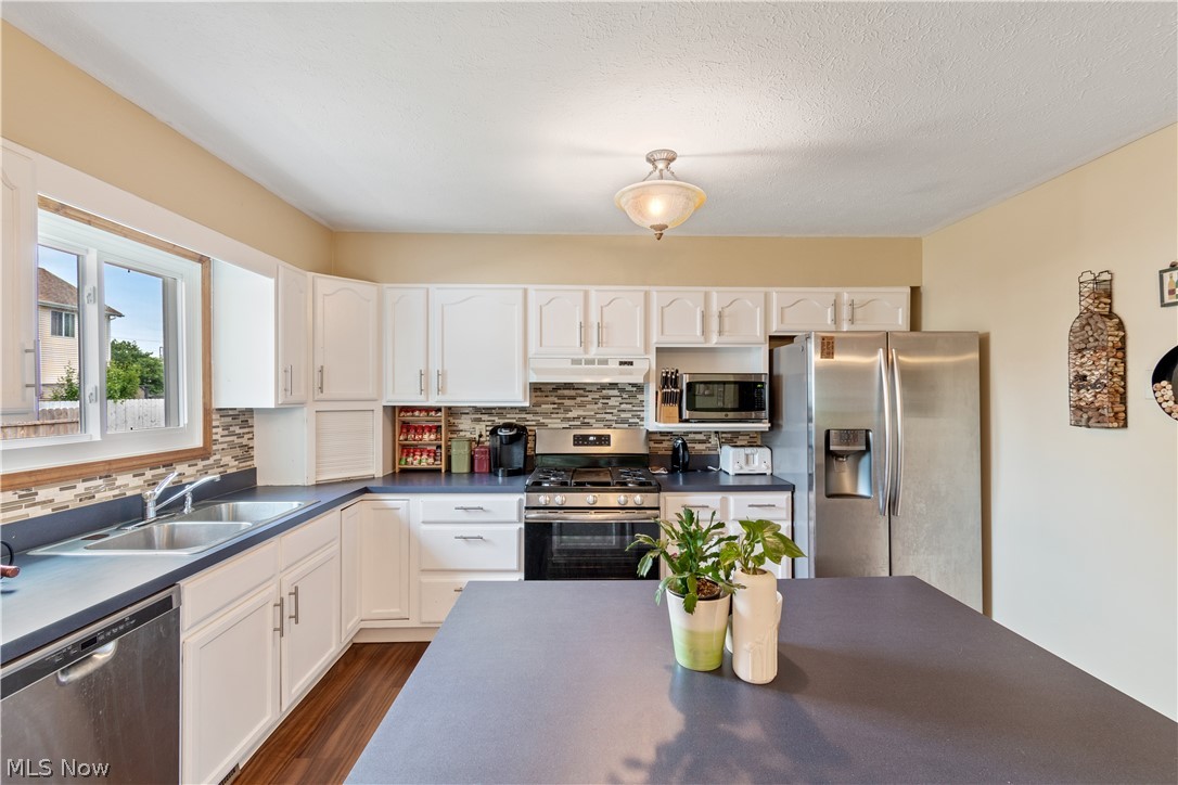 33946 Harding Avenue North Ridgeville, OH 44039 - Photo 8 of 28 Gallery Image 8