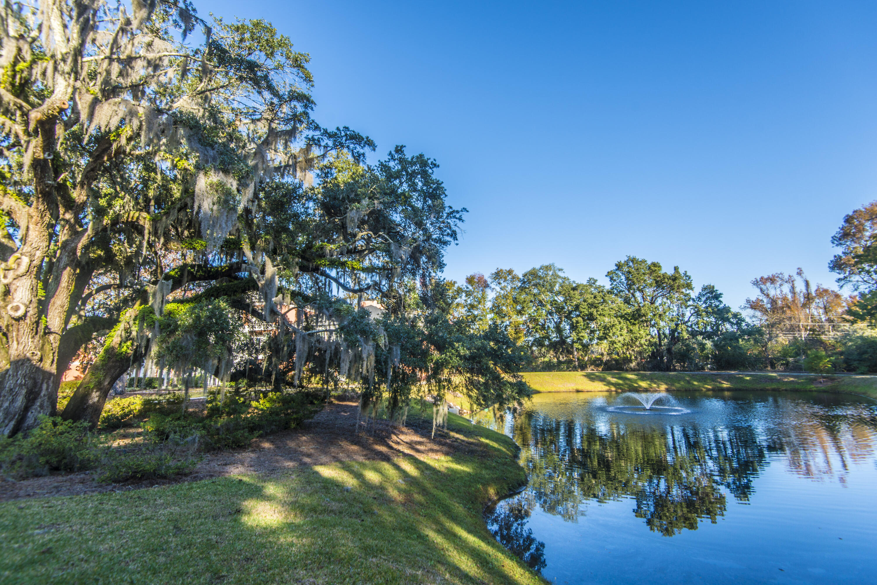 2127 Chatelain Way Mount Pleasant, SC 29464 - Photo 41 of 42 SouthHampton Green Space_3