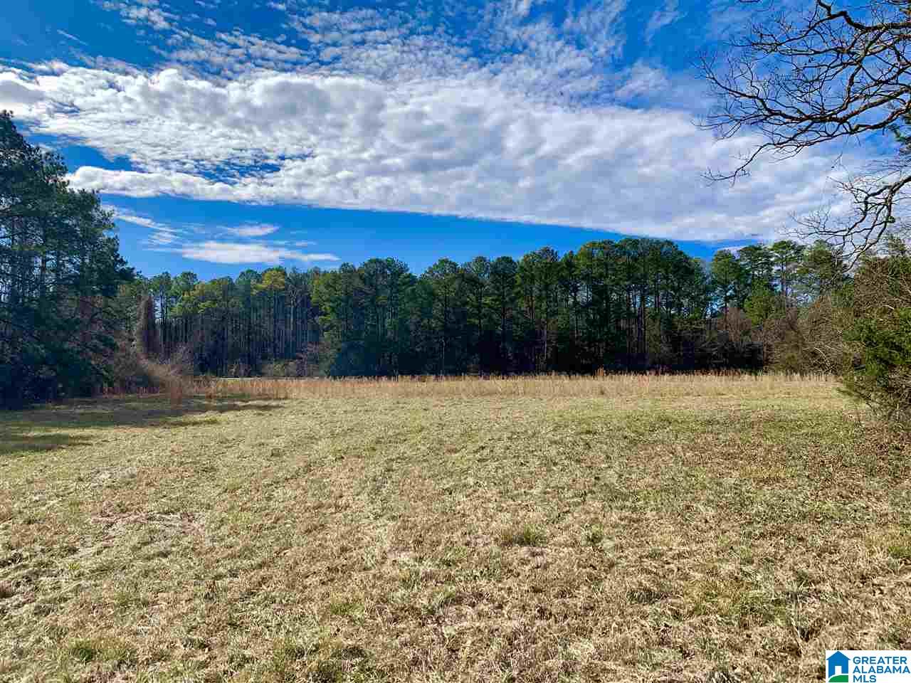 0 County Road 16 Calera, AL 35040 - Photo 13 of 22