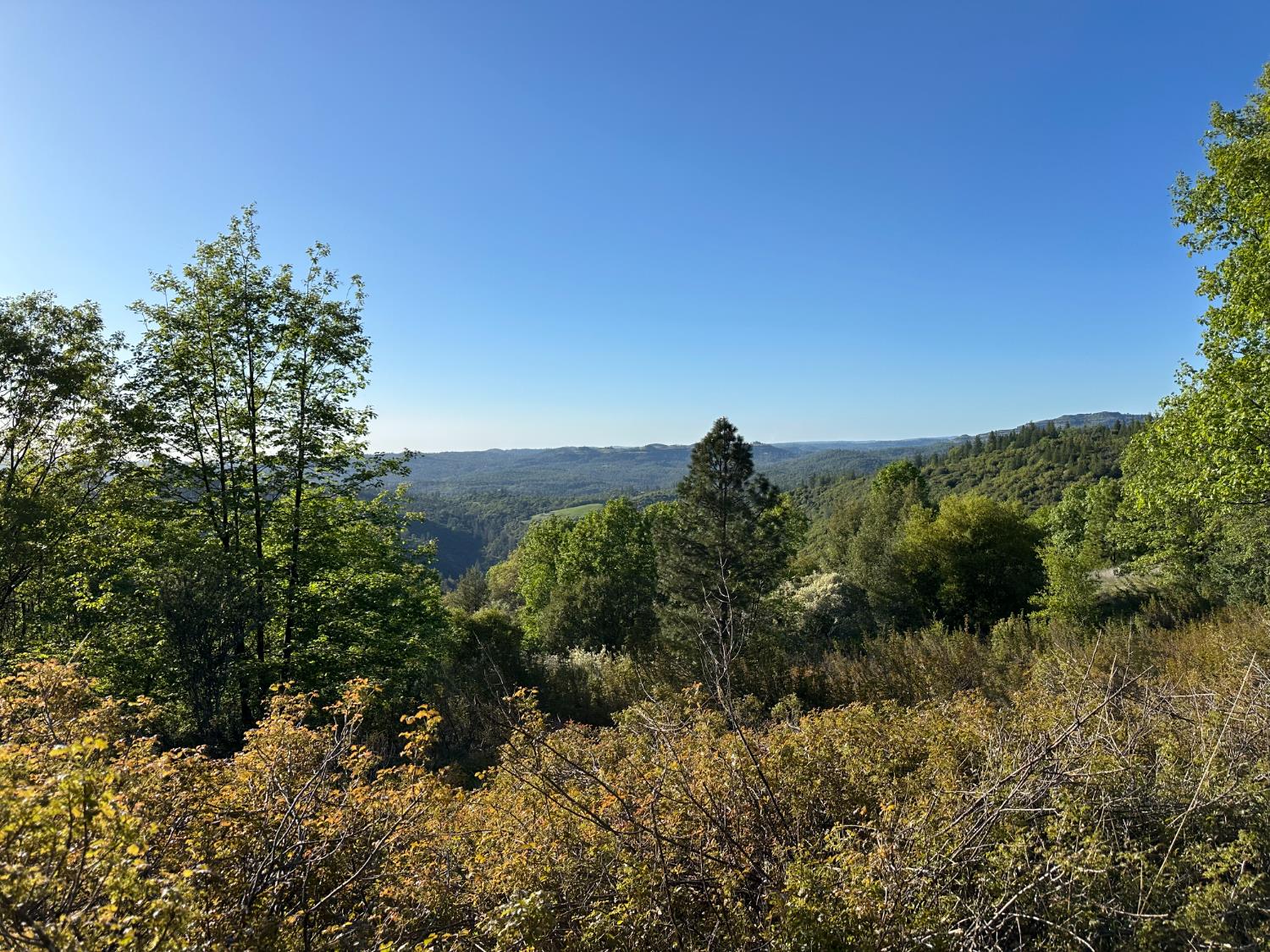 4022 Sheep Ranch Road Murphys, CA 95247 - Photo 78 of 81