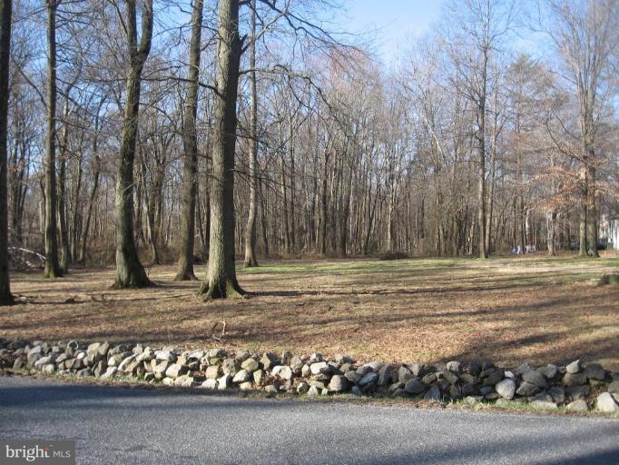 Jones Road Jessup, MD 20794 - Photo 1 of 1 Exterior (Main)