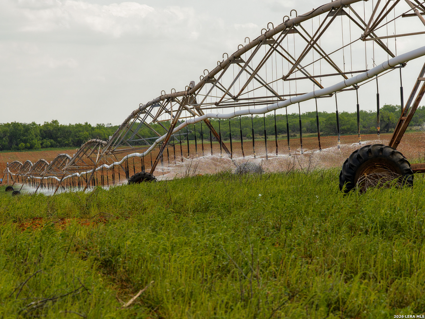 Tbd County Road 3000 Keystone Pearsall, TX 78061 - Photo 16 of 49