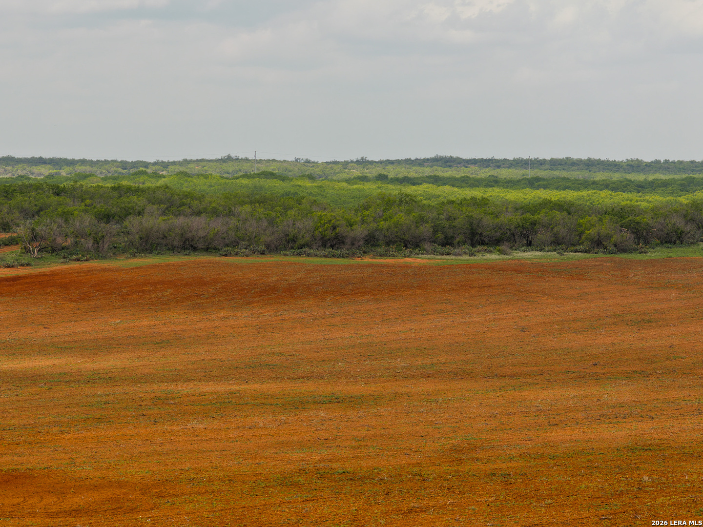Tbd County Road 3000 Keystone Pearsall, TX 78061 - Photo 18 of 49