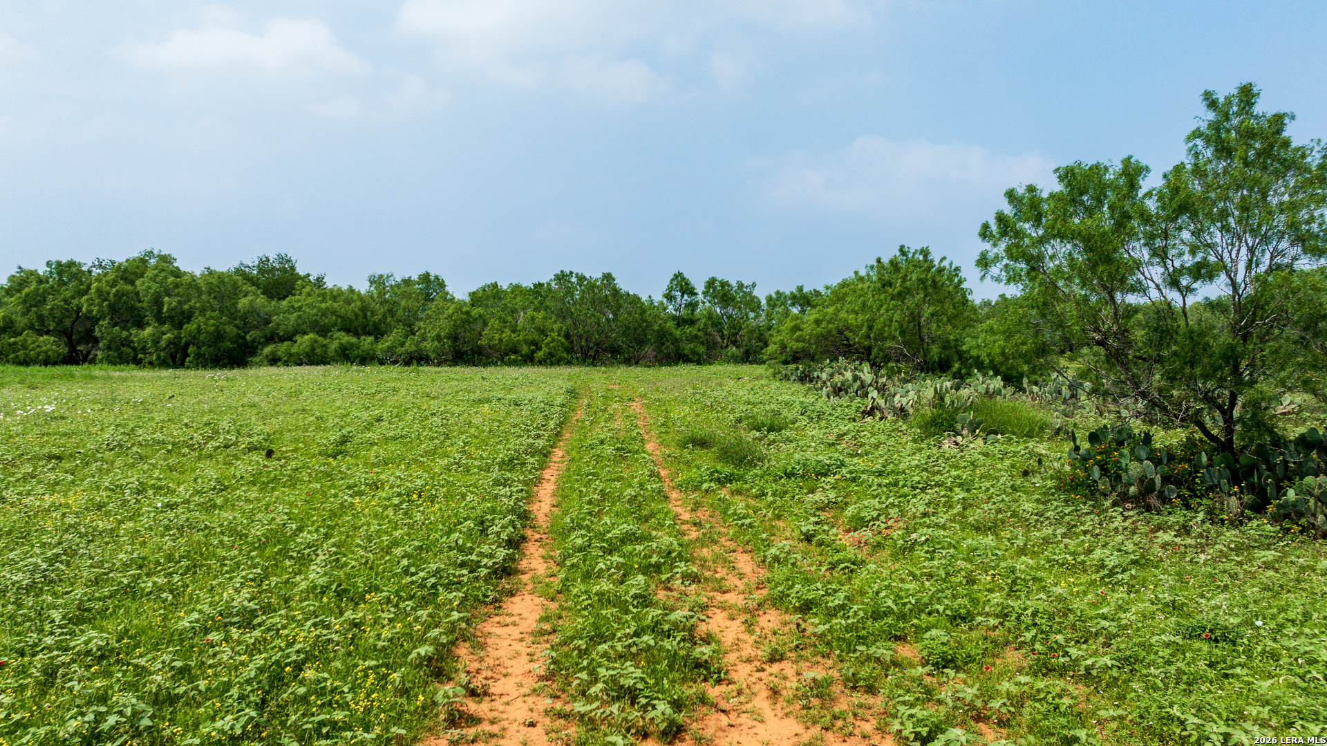 Tbd County Road 3000 Keystone Pearsall, TX 78061 - Photo 22 of 49