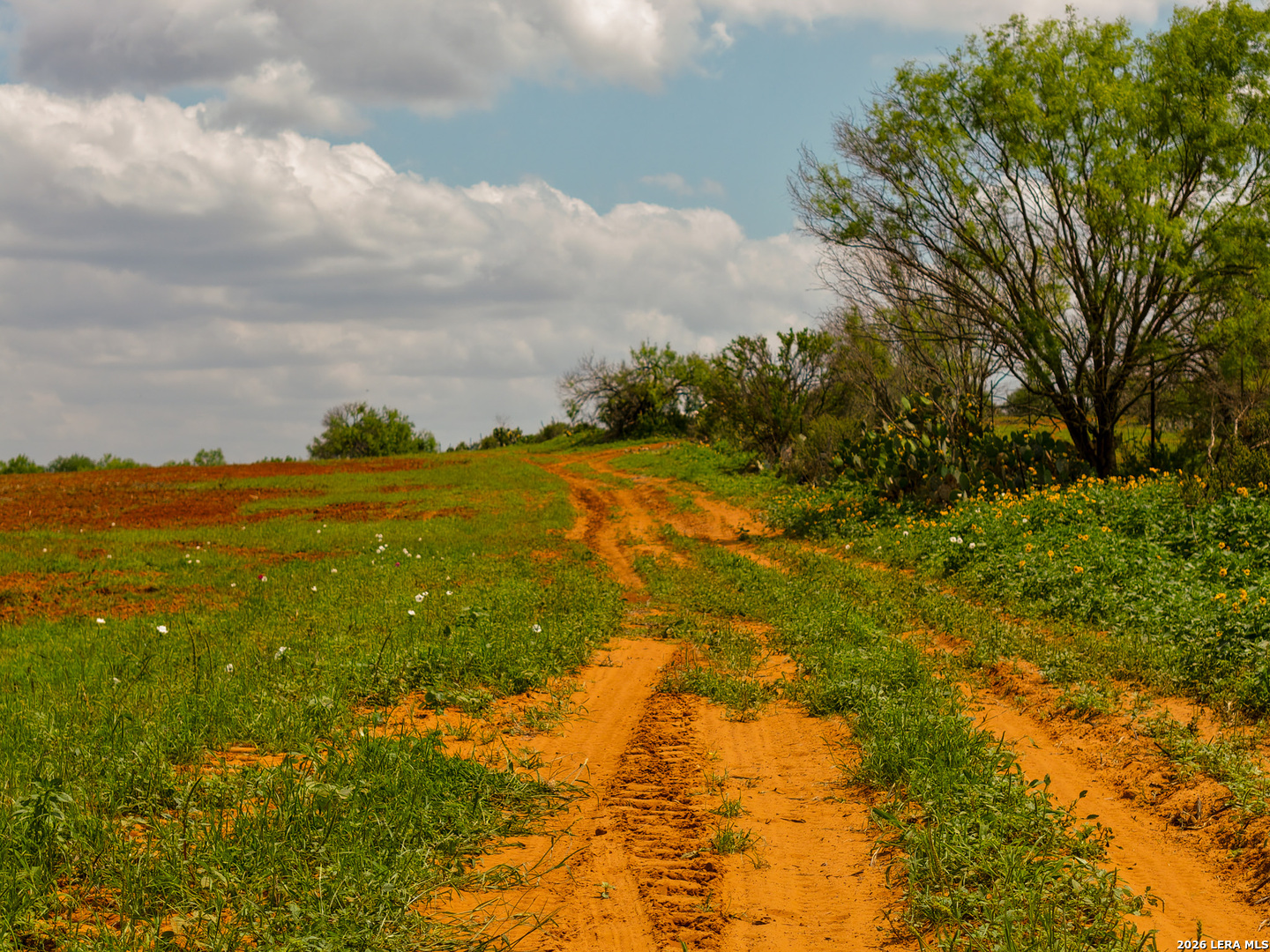 Tbd County Road 3000 Keystone Pearsall, TX 78061 - Photo 26 of 49