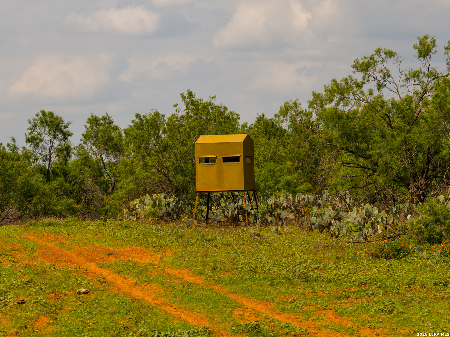 Tbd County Road 3000 Keystone Pearsall, TX 78061 - Photo 27 of 49