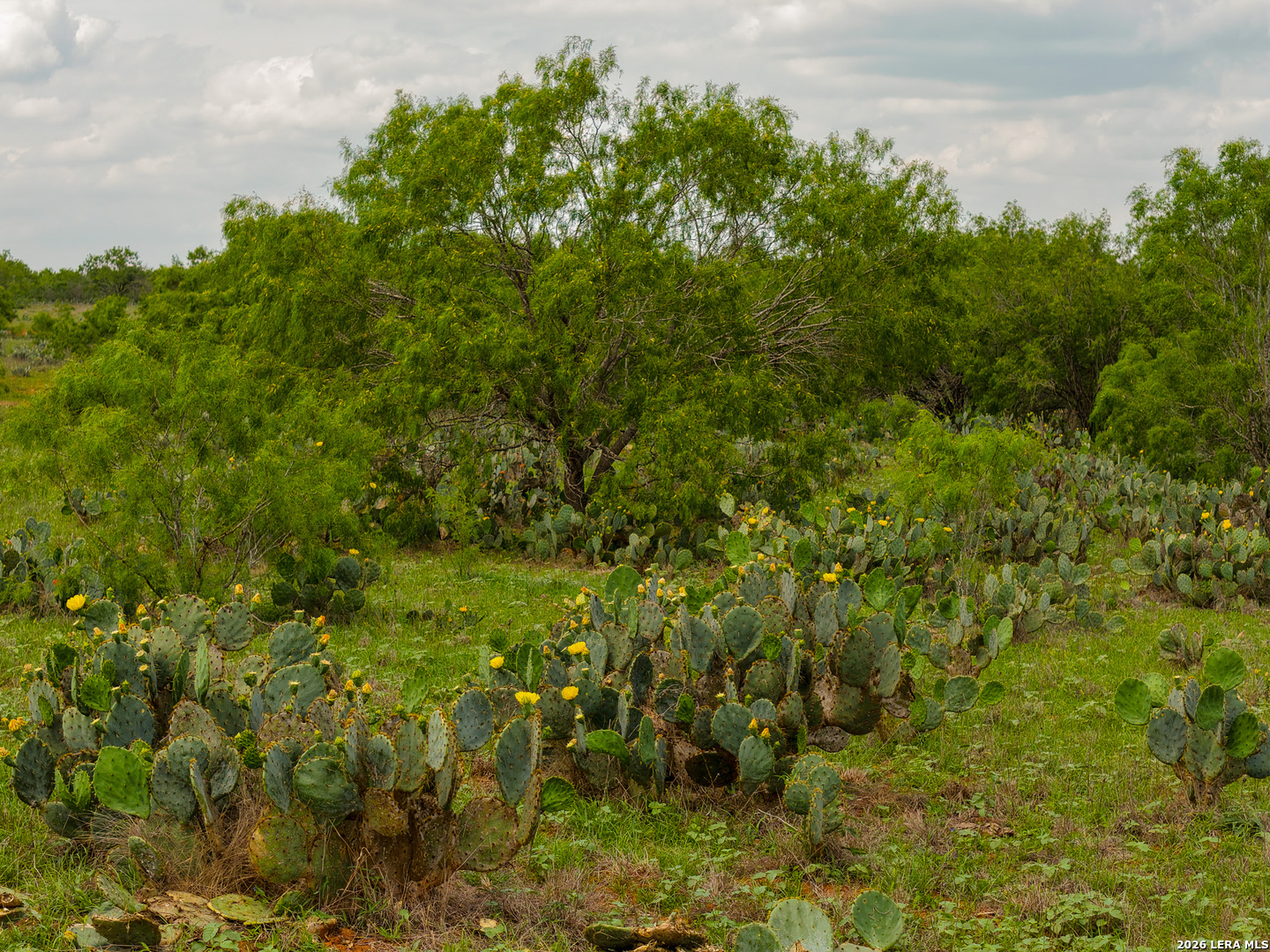 Tbd County Road 3000 Keystone Pearsall, TX 78061 - Photo 29 of 49