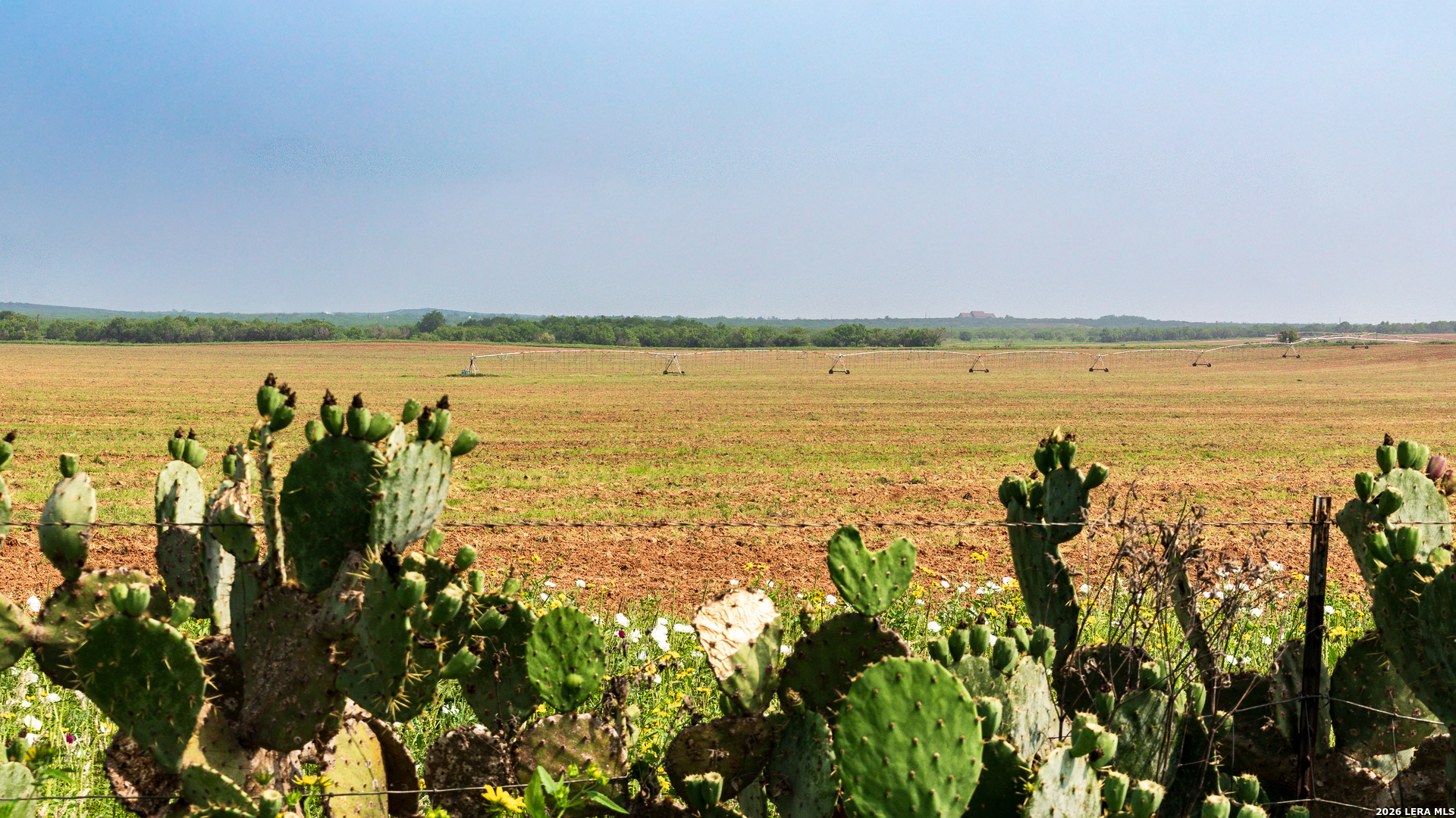 Tbd County Road 3000 Keystone Pearsall, TX 78061 - Photo 3 of 49