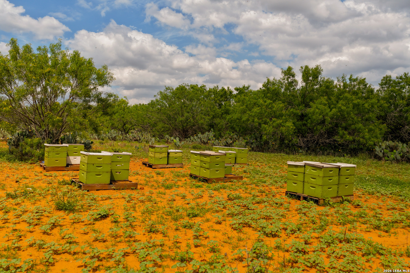 Tbd County Road 3000 Keystone Pearsall, TX 78061 - Photo 31 of 49