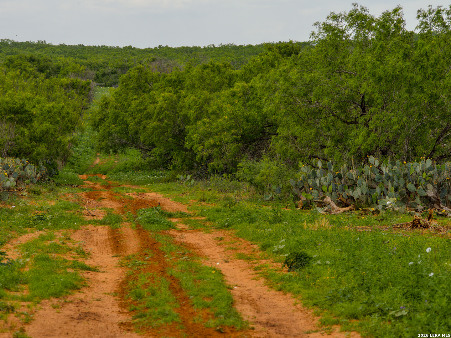 Tbd County Road 3000 Keystone Pearsall, TX 78061 - Photo 35 of 49