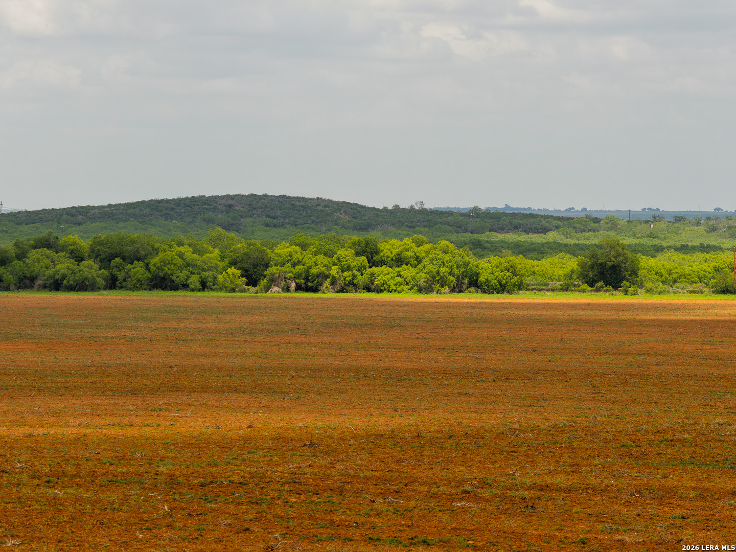 Tbd County Road 3000 Keystone Pearsall, TX 78061 - Photo 4 of 49