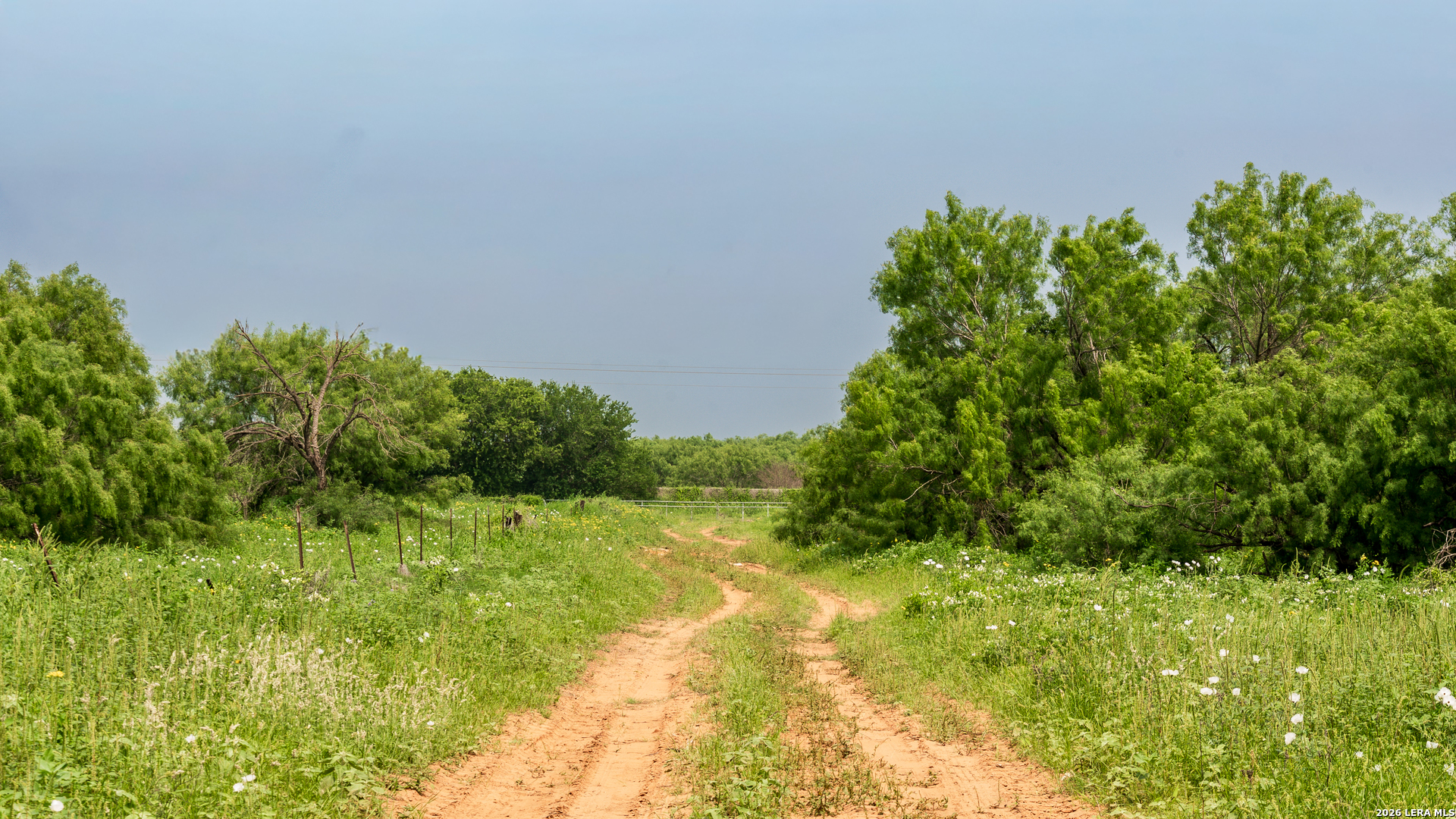 Tbd County Road 3000 Keystone Pearsall, TX 78061 - Photo 46 of 49