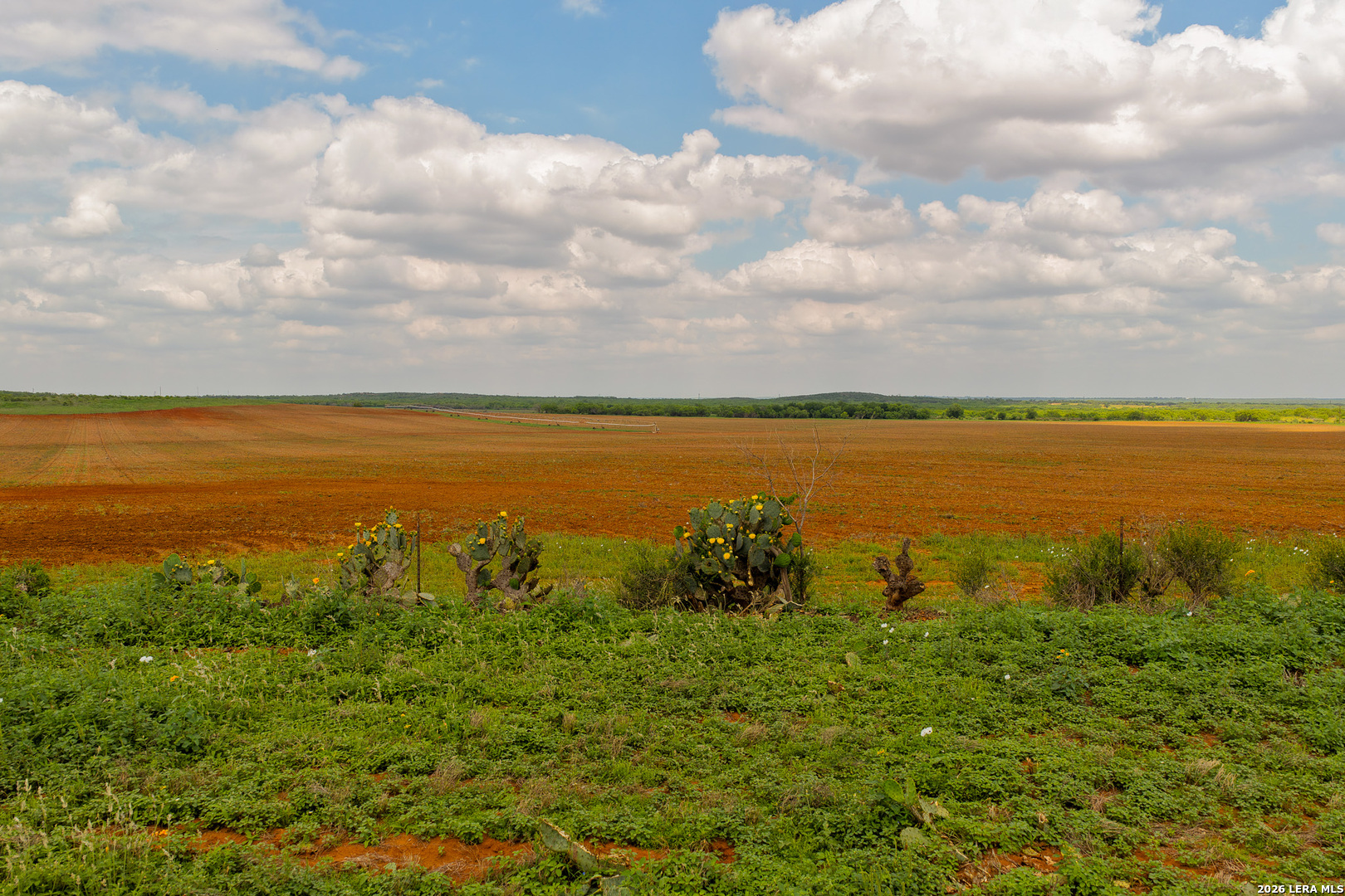 Tbd County Road 3000 Keystone Pearsall, TX 78061 - Photo 8 of 49