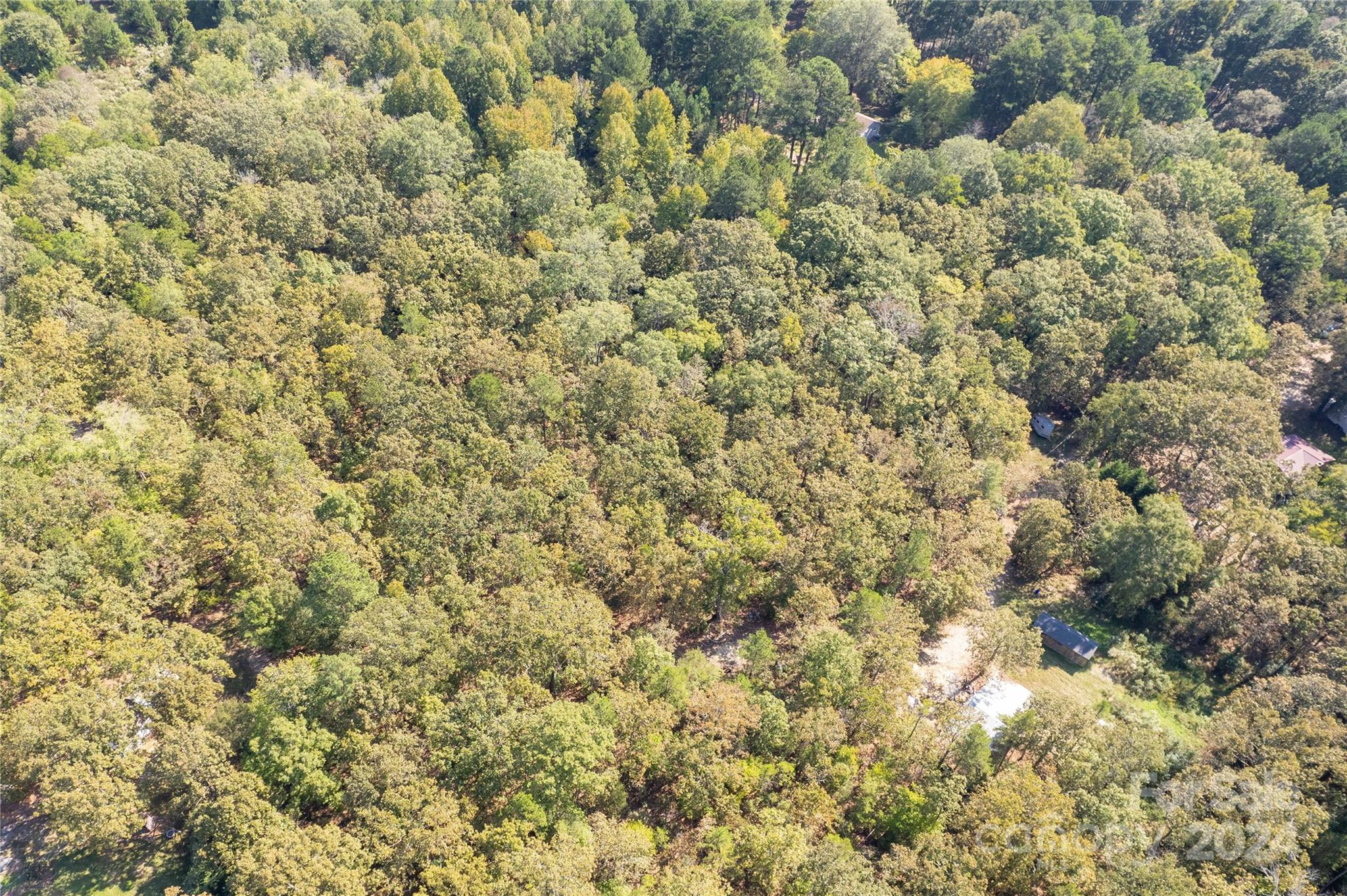0 Saddle Road Lancaster, SC 29720 - Photo 12 of 22 Gallery Image 12