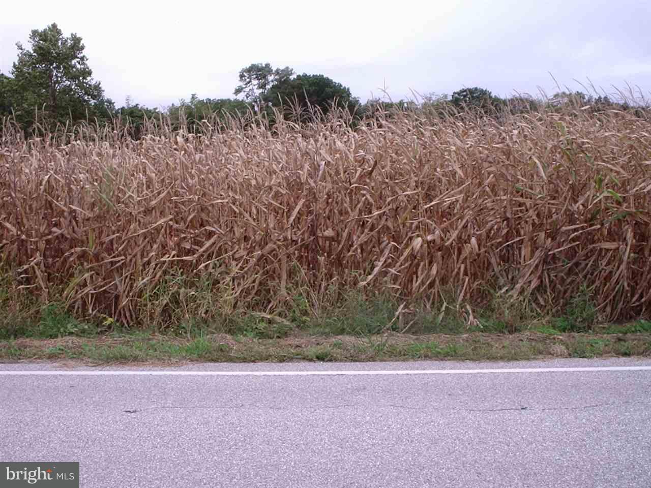 Lot West Ridge Road Dillsburg, PA 17019 - Photo 1 of 3 Gallery Image 1
