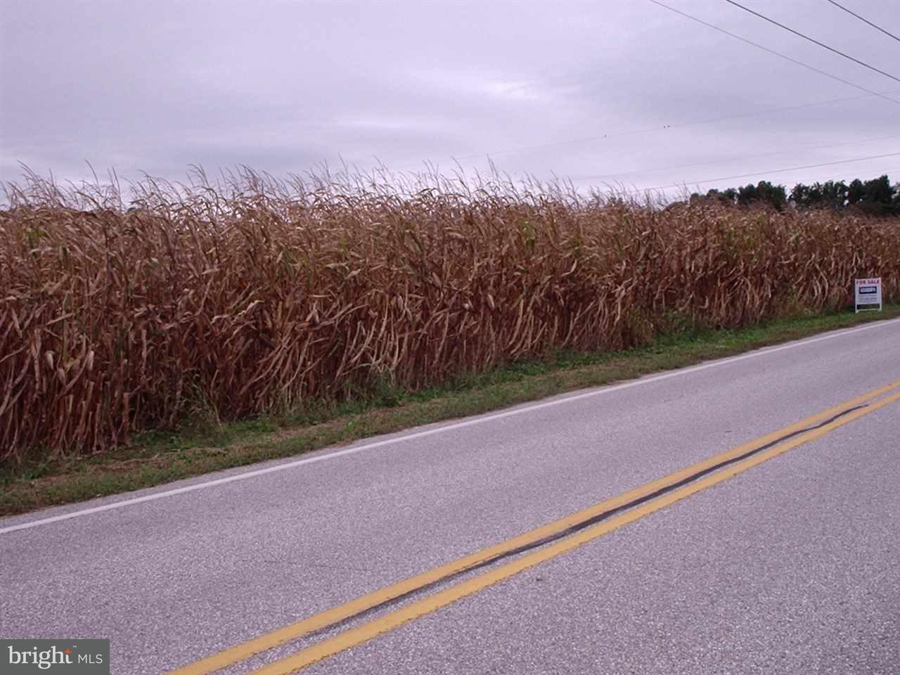 Lot West Ridge Road Dillsburg, PA 17019 - Photo 3 of 3 Gallery Image 3
