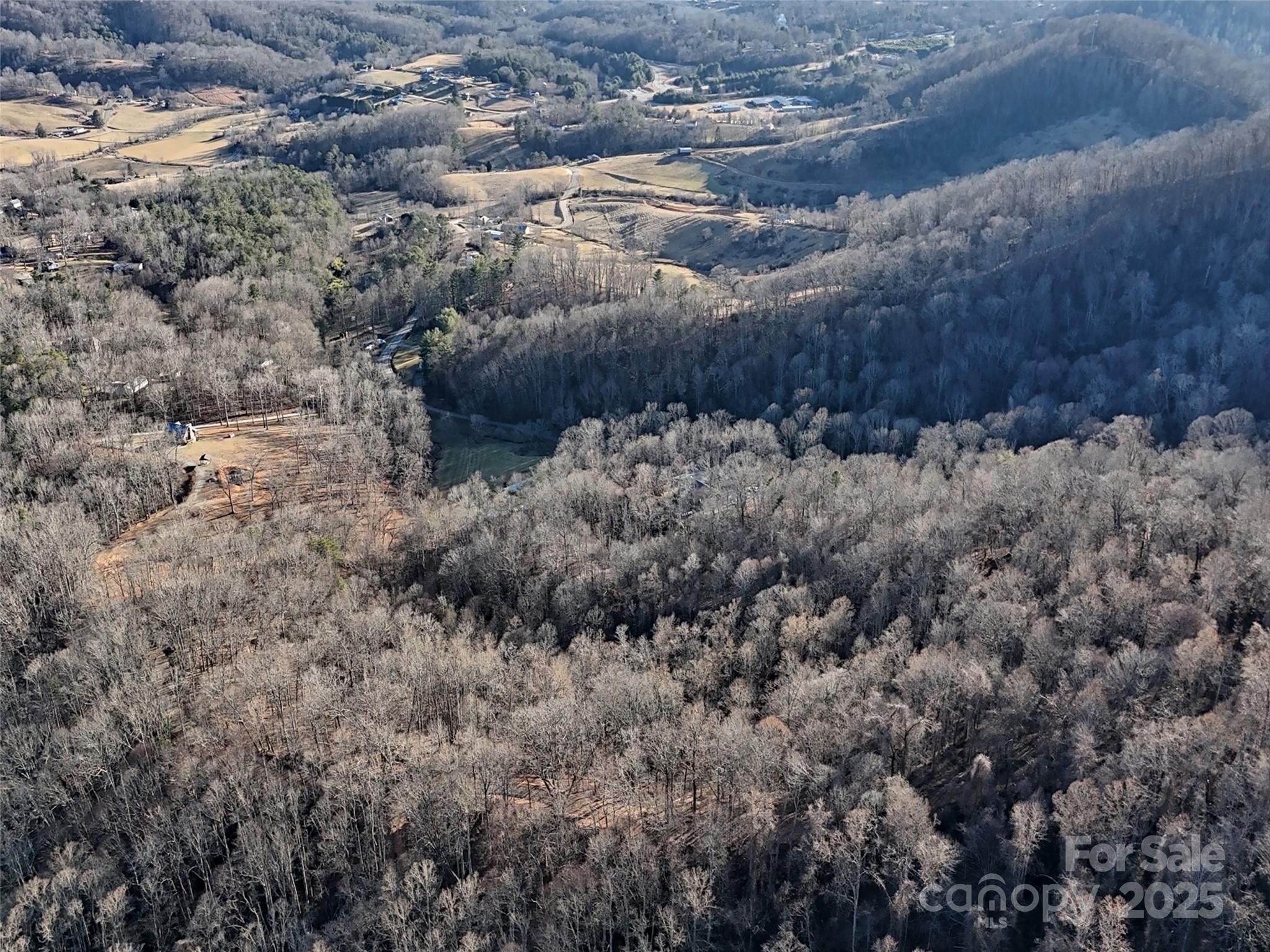 672 Porters Ridge Canton, NC 28716 - Photo 12 of 15