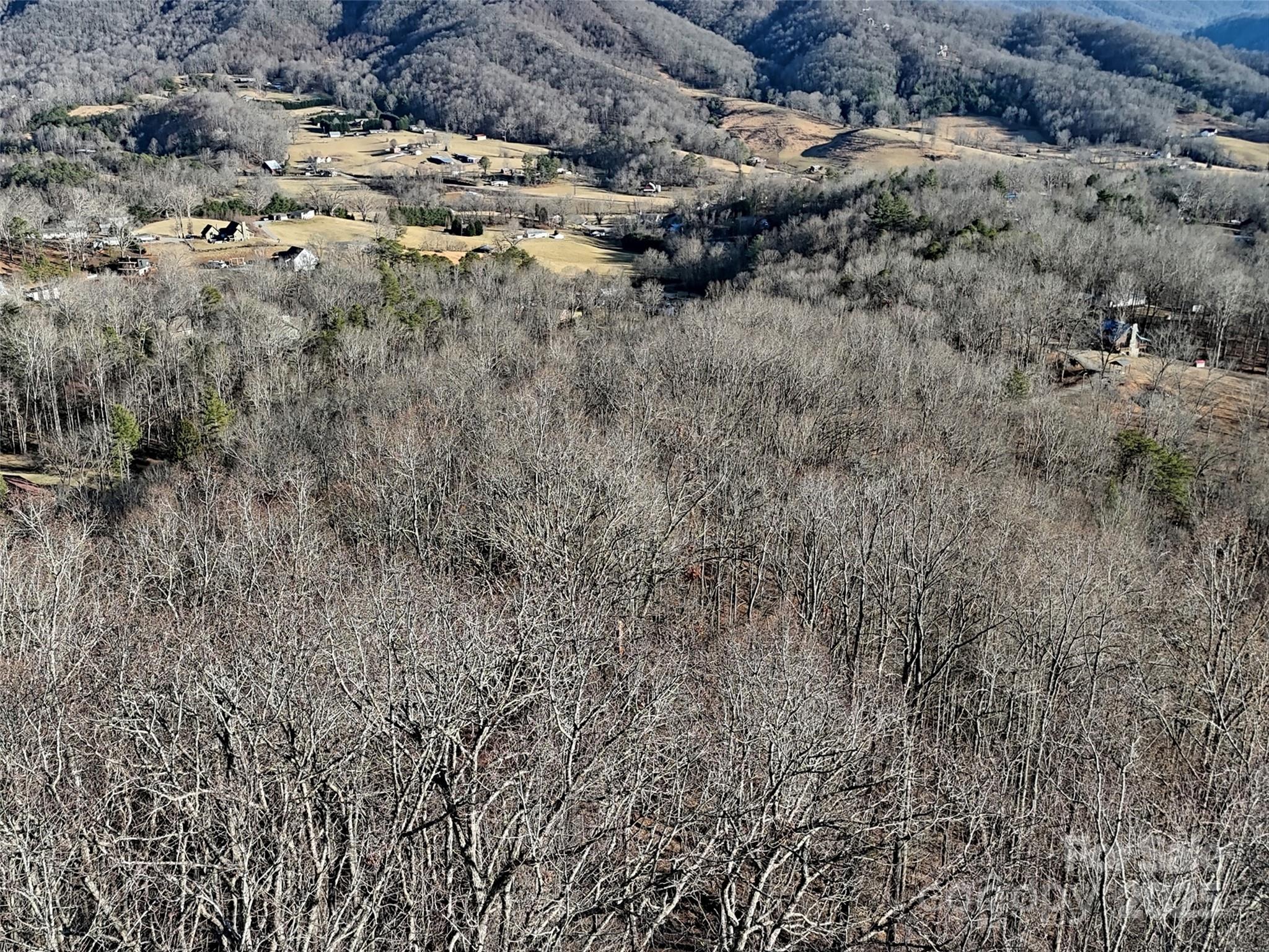 672 Porters Ridge Canton, NC 28716 - Photo 13 of 15