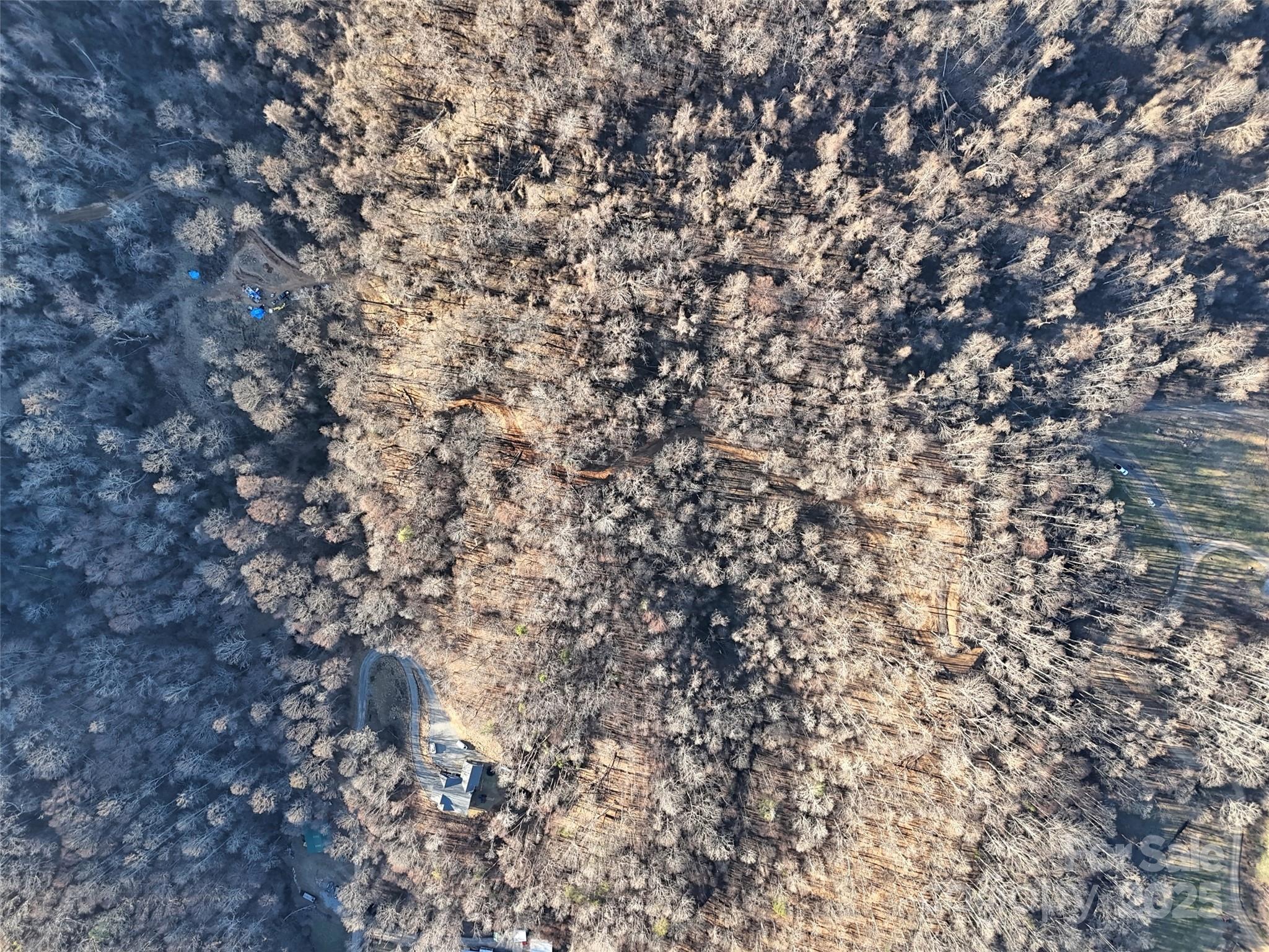 672 Porters Ridge Canton, NC 28716 - Photo 15 of 15