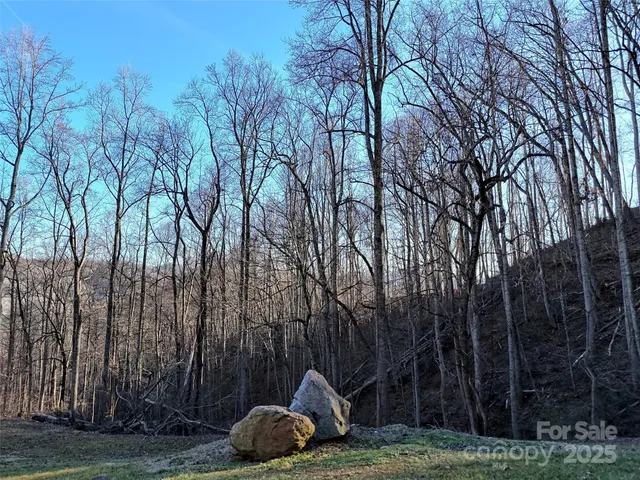 $125,000 | 672 Porters Ridge, Canton, NC 28716