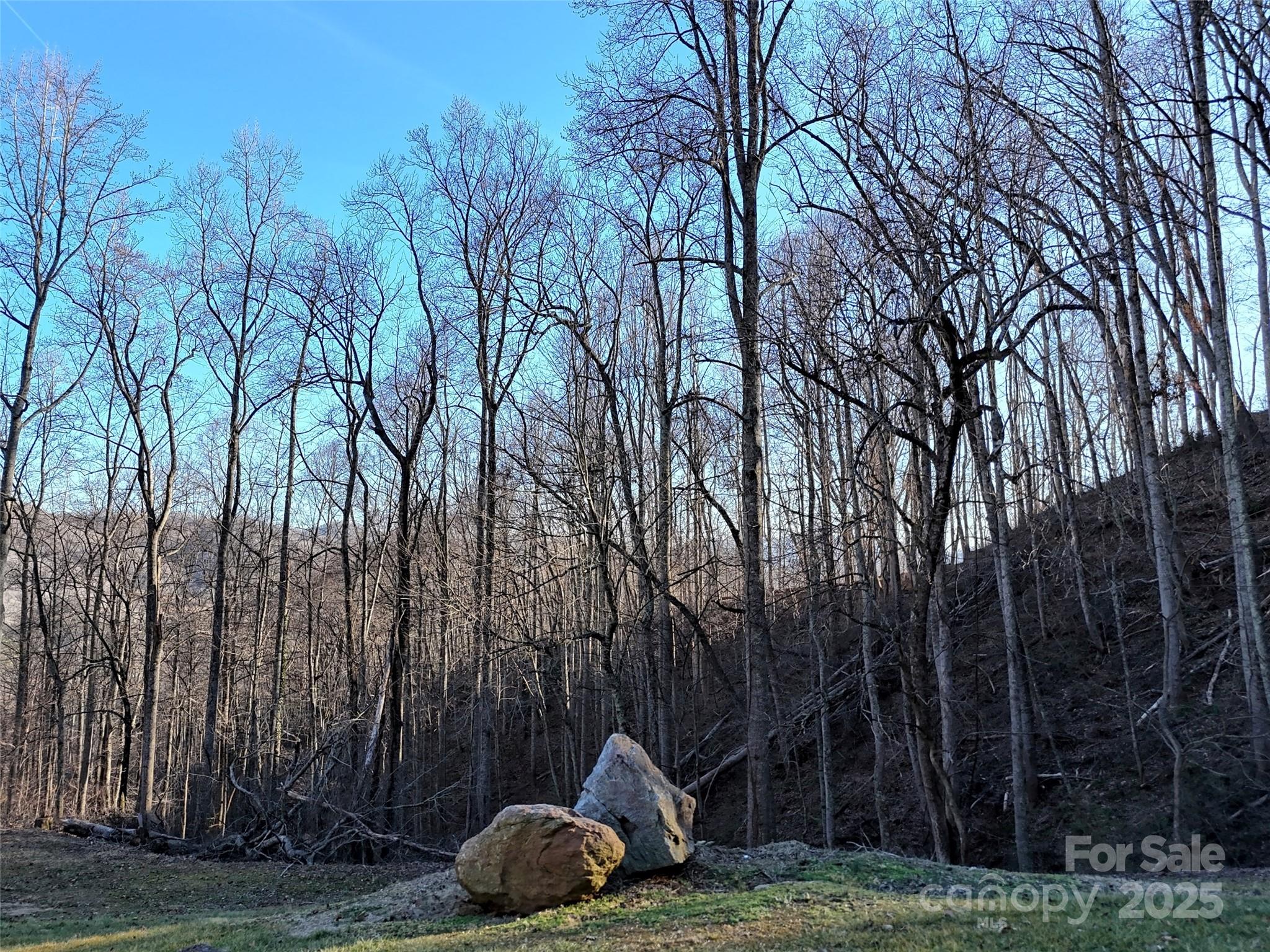 672 Porters Ridge Canton, NC 28716 - Photo 3 of 15