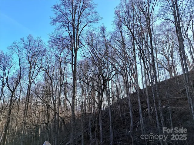 $125,000 | 672 Porters Ridge, Canton, NC 28716