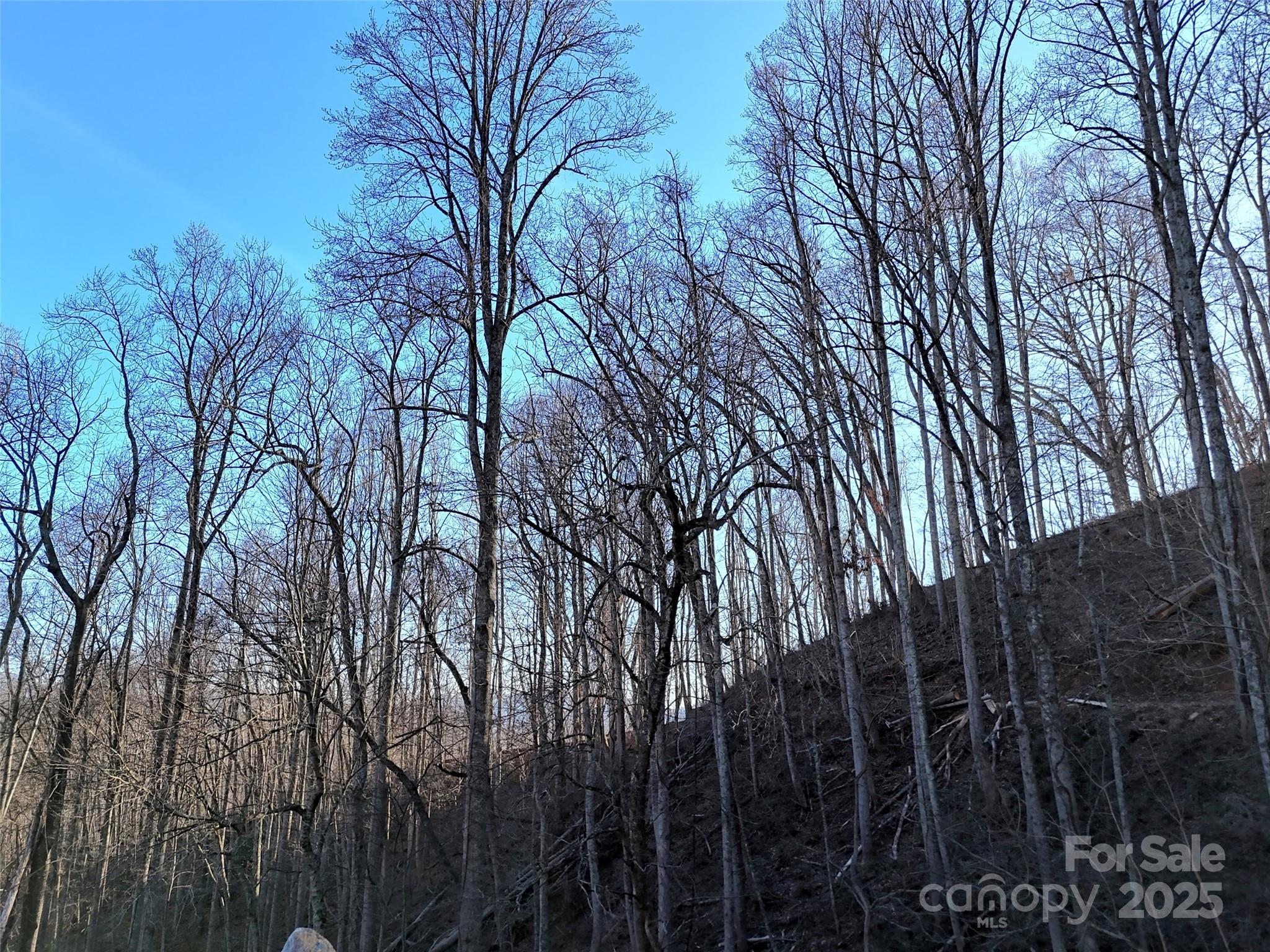 672 Porters Ridge Canton, NC 28716 - Photo 4 of 15