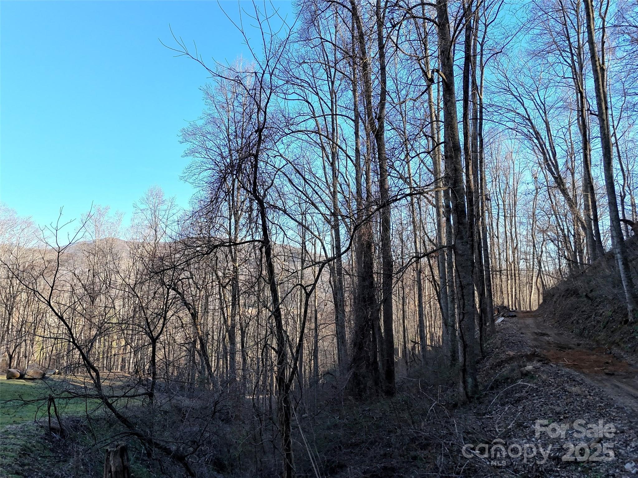 672 Porters Ridge Canton, NC 28716 - Photo 5 of 15