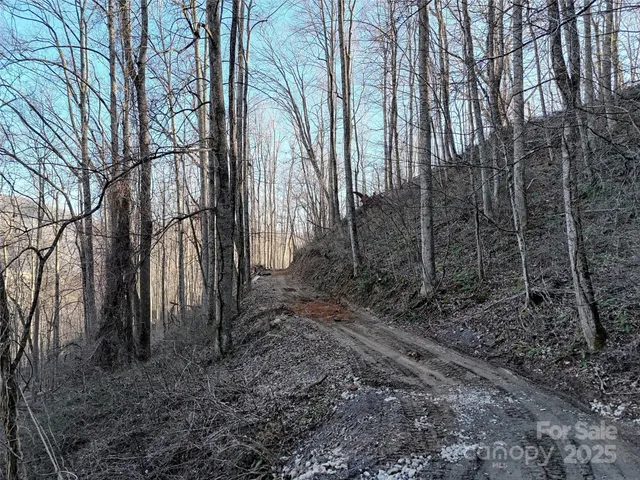 $125,000 | 672 Porters Ridge, Canton, NC 28716