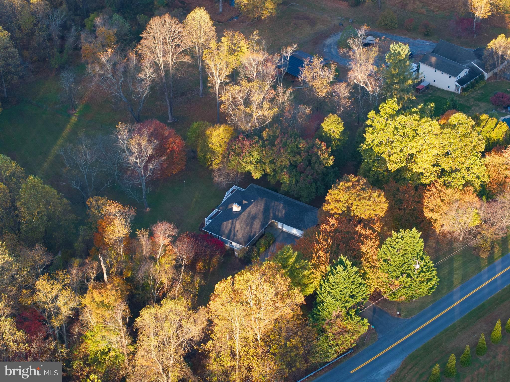 10100 Watkins Road Gaithersburg, MD 20882 - Photo 107 of 113 a view of a flower