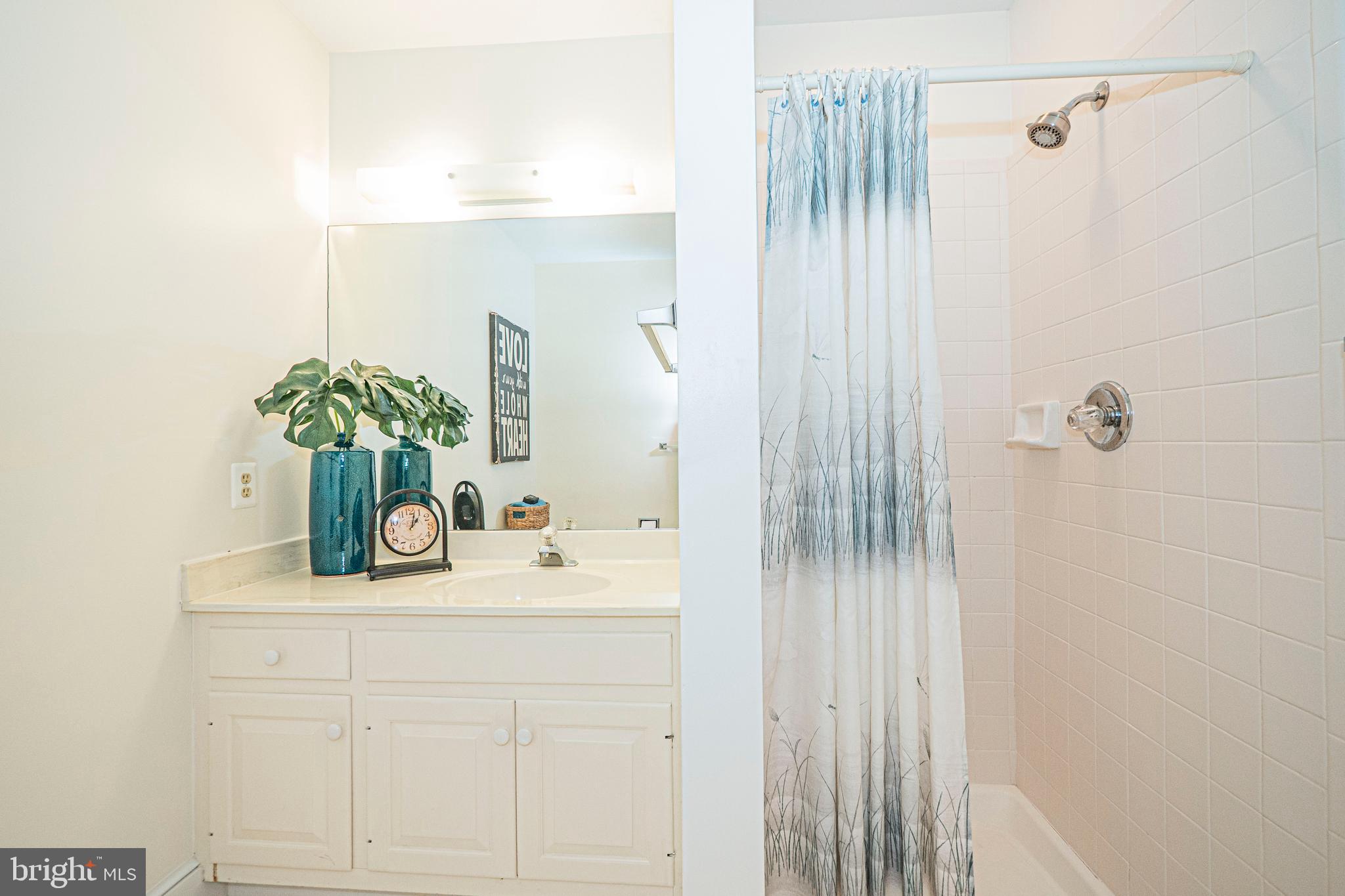 10100 Watkins Road Gaithersburg, MD 20882 - Photo 33 of 113 a bathroom with a sink vanity and a mirror