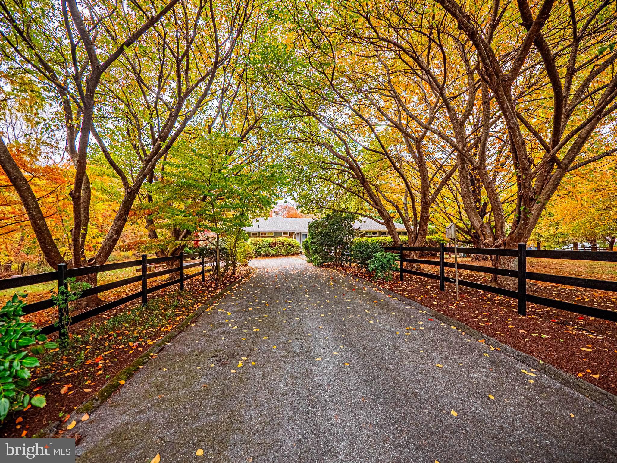 10100 Watkins Road Gaithersburg, MD 20882 - Photo 4 of 113 Exterior - Picturesque Driveway