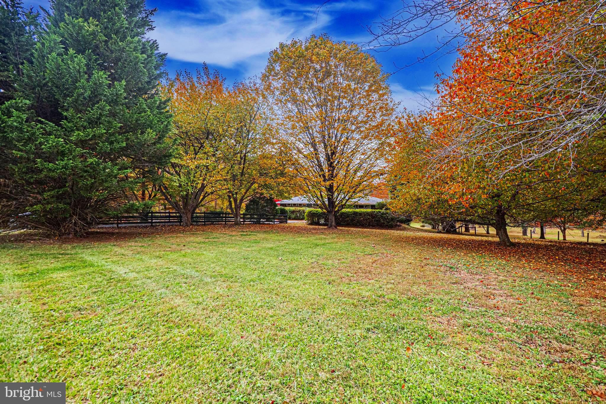 10100 Watkins Road Gaithersburg, MD 20882 - Photo 5 of 113 Exterior - Front Yard