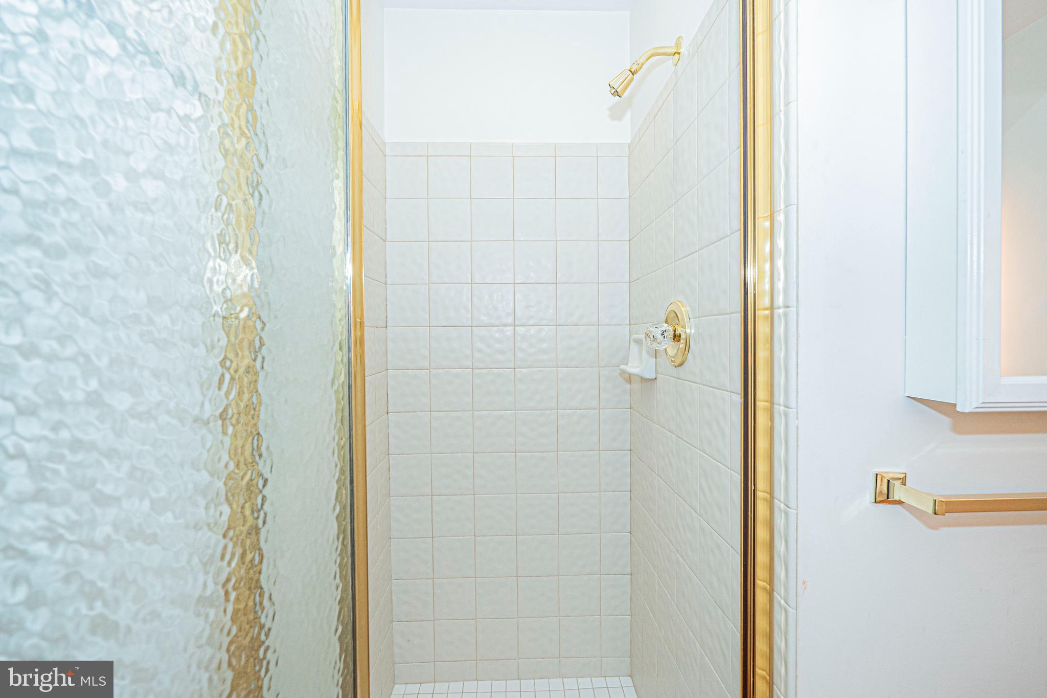 10100 Watkins Road Gaithersburg, MD 20882 - Photo 54 of 113 a bathroom with a shower