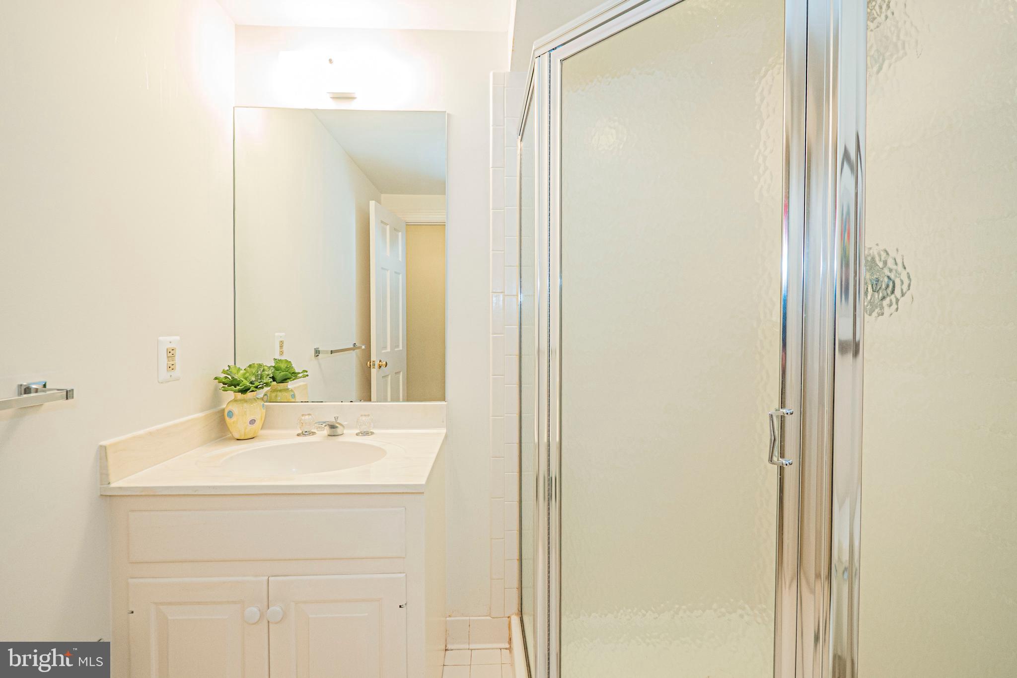 10100 Watkins Road Gaithersburg, MD 20882 - Photo 75 of 113 a bathroom with a sink and a mirror