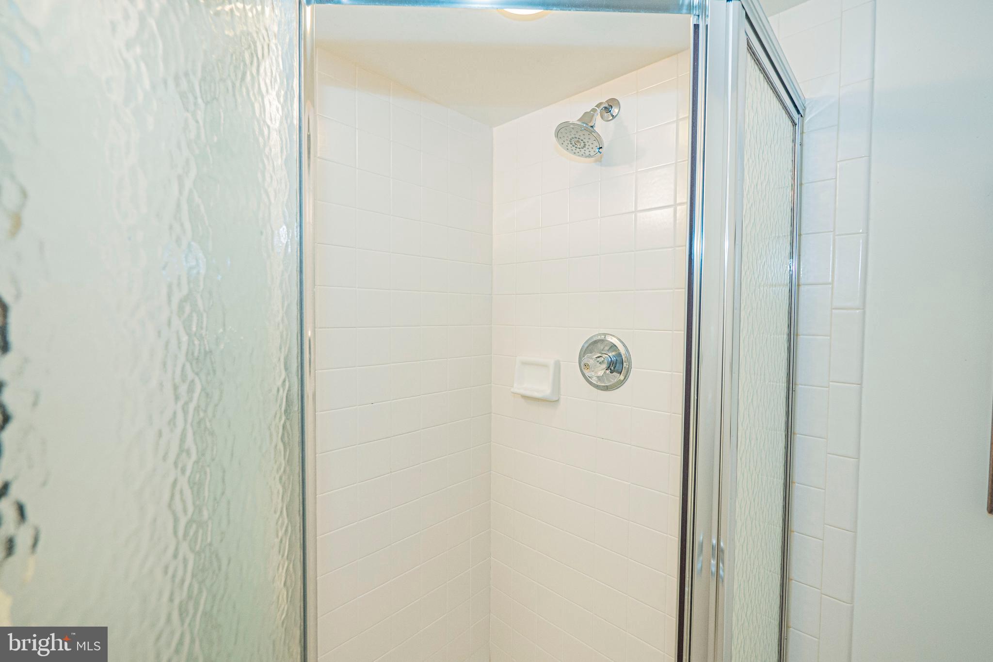 10100 Watkins Road Gaithersburg, MD 20882 - Photo 76 of 113 Lower Level - En Suite Bathroom