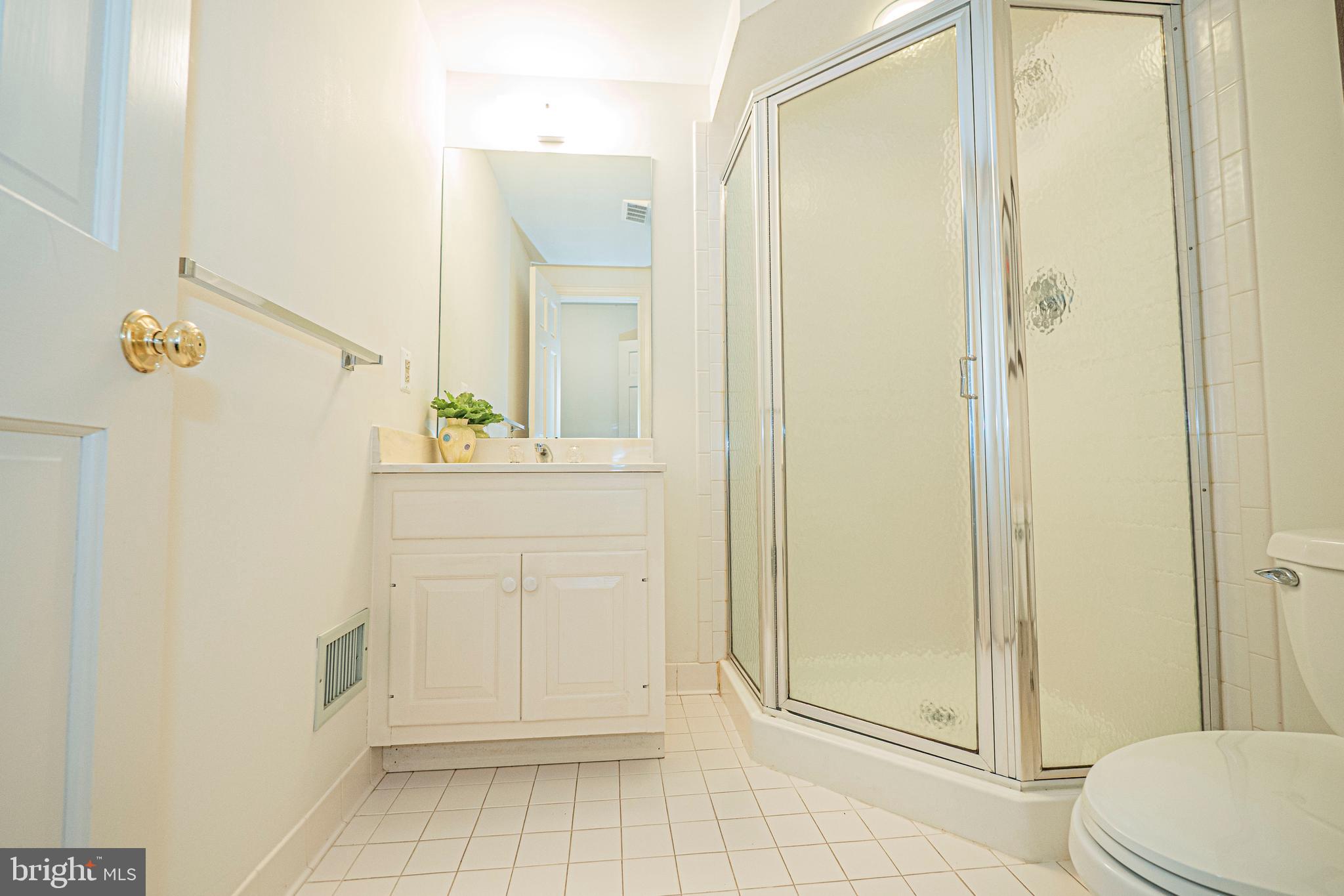 10100 Watkins Road Gaithersburg, MD 20882 - Photo 77 of 113 Lower Level - En Suite Bathroom